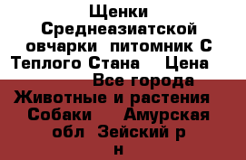 Щенки Среднеазиатской овчарки (питомник С Теплого Стана) › Цена ­ 20 000 - Все города Животные и растения » Собаки   . Амурская обл.,Зейский р-н